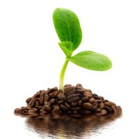 CICAS (Cafe y Salud) (@escafesalud) 's Twitter Profile Photo CICAS (Cafe y Salud) (@escafesalud) 's Twitter Profile Photo