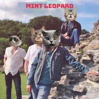 MINT LEOPARD (@mintleopardog) 's Twitter Profile