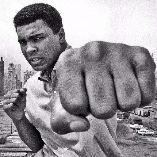 ster_ralph's profile picture. 