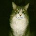 Λιλάκι (@lilap_) Twitter profile photo Λιλάκι (@lilap_) Twitter profile photo