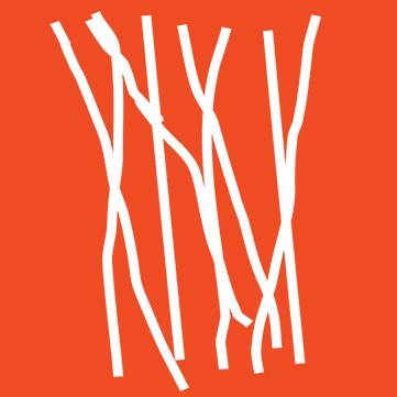 Our purpose is to create an environment where arts and culture thrive in the Bay of Plenty, New Zealand.
