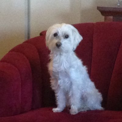 nokiniles's profile picture. 