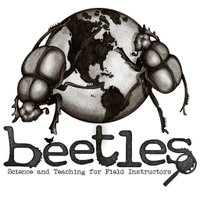 BEETLES Project (@beetles_project) 's Twitter Profile