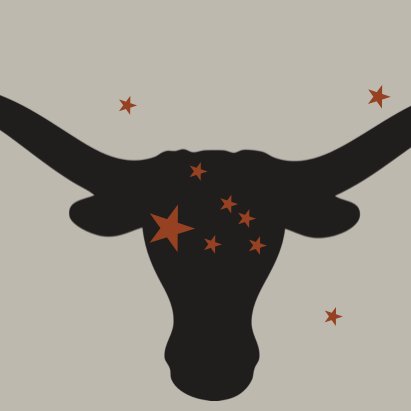 TAURUS (Texas Astronomy: Undergraduate Research experience for Underrepresented Students). Austin summer program committed to supporting URM students.