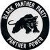 Black Panther Party (@bpp510) Twitter profile photo Black Panther Party (@bpp510) Twitter profile photo
