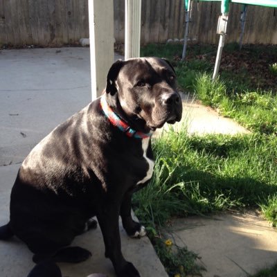 ava_ts's profile picture. 