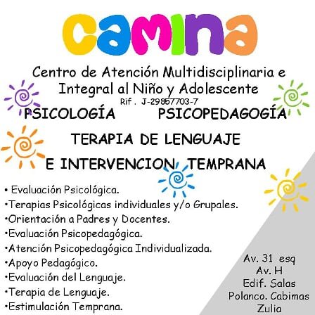 CAMINA20's profile picture. Centro de Atención Multidisciplinaria e Integral al Niño y Adolescente. Psicología, Psicopedagogía, Terapia de Lenguaje y Estimulación e Intervención Temprana