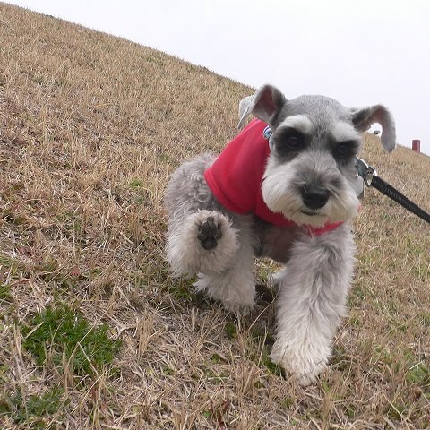 2012年12月24日生まれ　　♂