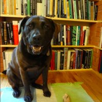 Erika Supria H. @drcanonic.bsky.social (@drcanonic) 's Twitter Profile Photo Erika Supria H. @drcanonic.bsky.social (@drcanonic) 's Twitter Profile Photo