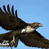 ماجد شوشره (@xe5tp6yutn6mrsi) Twitter profile photo