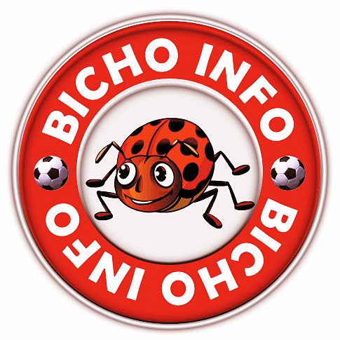 BichoInfo1904 Profile Picture