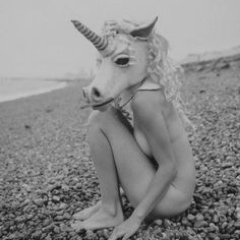 PandacornWild's profile picture. 