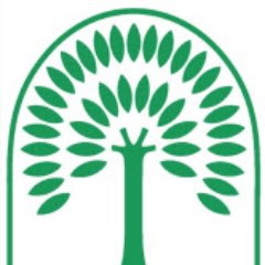 DSAH Profile