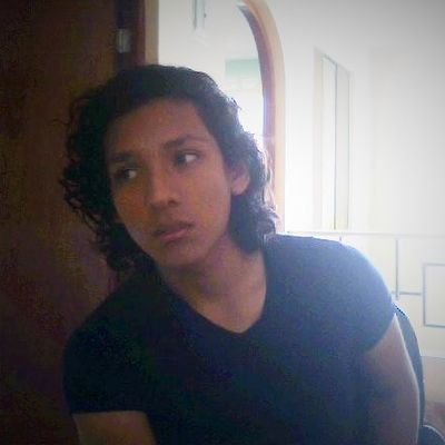 Musico / Guitarrista...