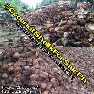 BaoForSalePh's profile picture. Coconut Shells 'Bao' Legit Supplier 🇵🇭 P6.00 per kilo. 2000tons or up. 📲 +639156725557/+639369531628. Instagram/Facebook: @CoconutShellsForSalePh