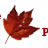 Prog_Blog's profile image