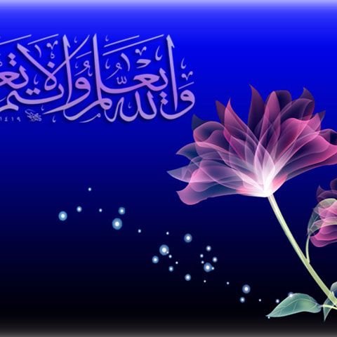 s_mustaqeem112's profile picture. 