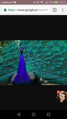 fpsc_'s profile picture. i would like to be rich.