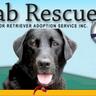 LABRESCUE289's profile picture. Not for Profit. Dedicated to rescuing and re-homing displaced Labradors and responsible pet ownership. Please donate today! https://t.co/ndtFgA8c0j