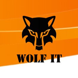 InfoWolfit's profile picture. Spécialisée dans la gestion des systèmes d'informations, la protection des données , audits, évaluation failles de sécurités.