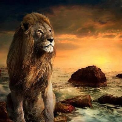 RIUHqumxCpg1jEp's profile picture. ‏‏الأخبار العامة الأخبار الأخبار العامة الأخبار الترفيه الأخبار الأخبار