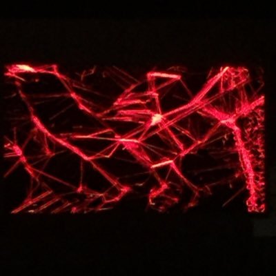 kylerighter's profile picture. Staff writer @larecord, @lamusicblog, @mxdwn, smithkyle at gmail