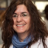 Cristina Fillat (@cfillat) 's Twitter Profile