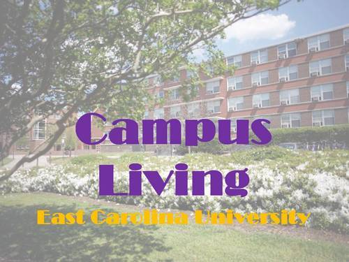 Living On Campus! It's a Pirate's Life for Me!