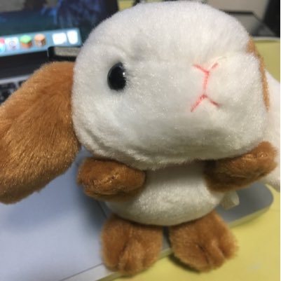 初めまして葵あかりです！(o^^o)アニメや歌い手さん踊り手さんの動画とかもみてます！よかったらフォローして下さい！ 副業もしてます！ よかったらLINE@登録お願いします！  フリマアプリ「メルカリ」で販売してます  https://t.co/EfIcMBcYzb
