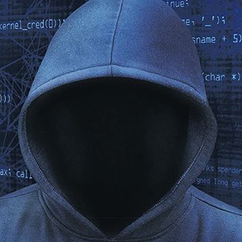 WolleyWons's profile picture. 