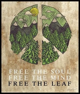 kwietniu1's profile picture. Daleko jeszcze na Alaske?