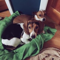 Ellen Goldbaum-Kolin (@goldbaumkolin) 's Twitter Profile Photo Ellen Goldbaum-Kolin (@goldbaumkolin) 's Twitter Profile Photo