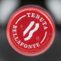Tenuta Bellafonte (@tenbellafonte) 's Twitter Profile