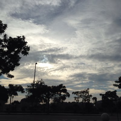 logicaidiota's profile picture. Rt y fav a todos los que hagan sentir con palabras