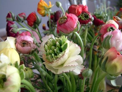 ejollihan's profile picture. I dance, make things and teach.