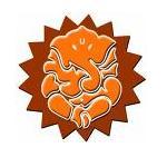 Astrology, Horoscope, Expert Advice, Predictions, Gem Stones, Lal Kitab and lot more information!