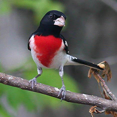 imatwicker's profile picture. 