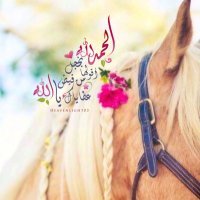 Muna ~ ☁️🕊 (@heavenlight03) Twitter profile photo