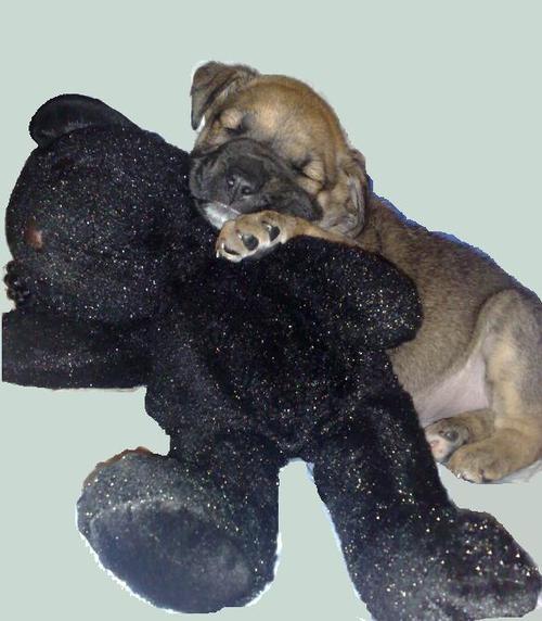 LuuuPr's profile picture. 