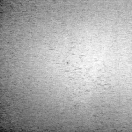 danieldiazlima's profile picture. 