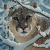 Mountainside Middle (@mountainsidems) Twitter profile photo Mountainside Middle (@mountainsidems) Twitter profile photo