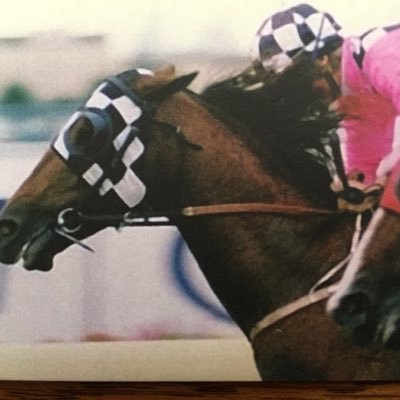 IWS PtyLtd. Bookie til 1988. RacingNSW appeals,Gr1 breeder&owner. A.R.C Tokyo, IFHA Paris. Invented Speed Map. Solved AUS deduction scale & HKJC jocks’challenge