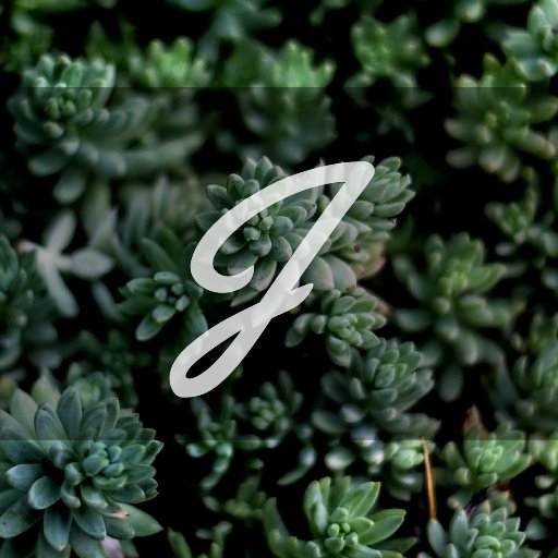 JuzzySounds's profile picture. * * *YoU DoNt GrInD YoU DoNt ShInE - YoU DoNt WoRk YoU DoNt Eat * * *