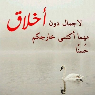💐الجودة أسلوب حياة💐 ماجستير إدارة وتخطيط ، مدرب دولي معتمد ومستشار في الجودة ، مدقق خارجي ومراجع داخلي دولي في الجودة والإعتماد معتمد من الإريكاء