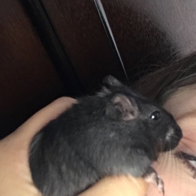 niza3322's profile picture. add me on sc : niza_here