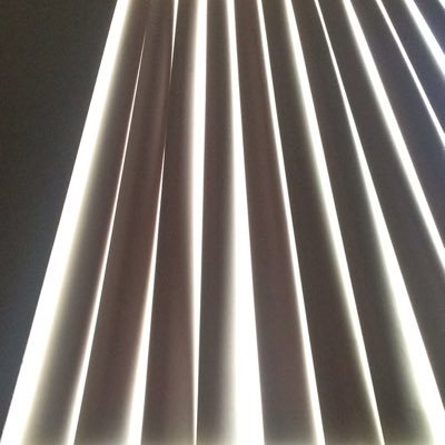 ThatGirlCodii's profile picture. 