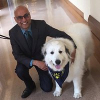 Anjay Rastogi (@dranjayrastogi) 's Twitter Profile