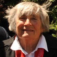 Elizabeth Woodworth (@abettervision) 's Twitter Profile
