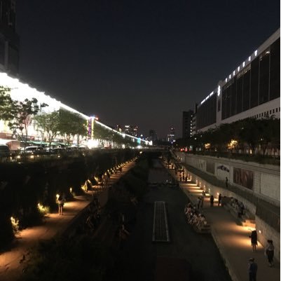 oy1137's profile picture. 七里ガ浜 / 立教 経済学部 経済学科