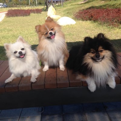 myalljh's profile picture. 영원한 달님의 팬이요 ~~ 이제는 이재명이다!! 아자!!